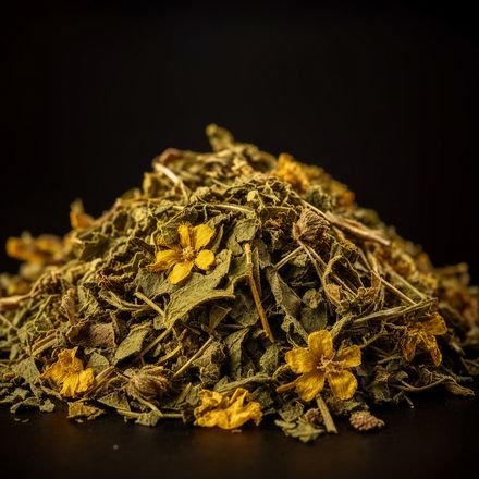 Damiana