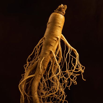Ginseng