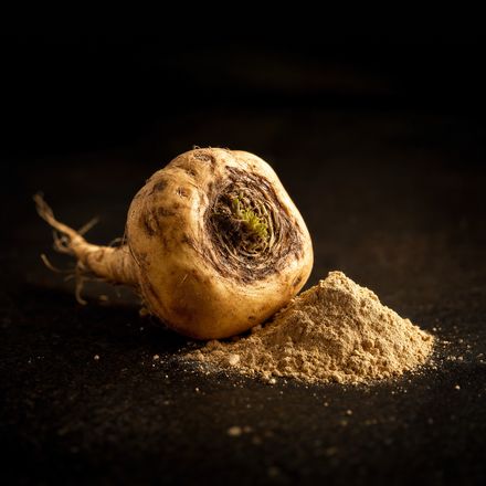 Maca